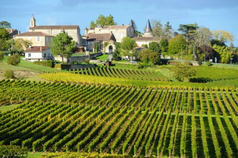 Vignoble de la campagne bordelaise