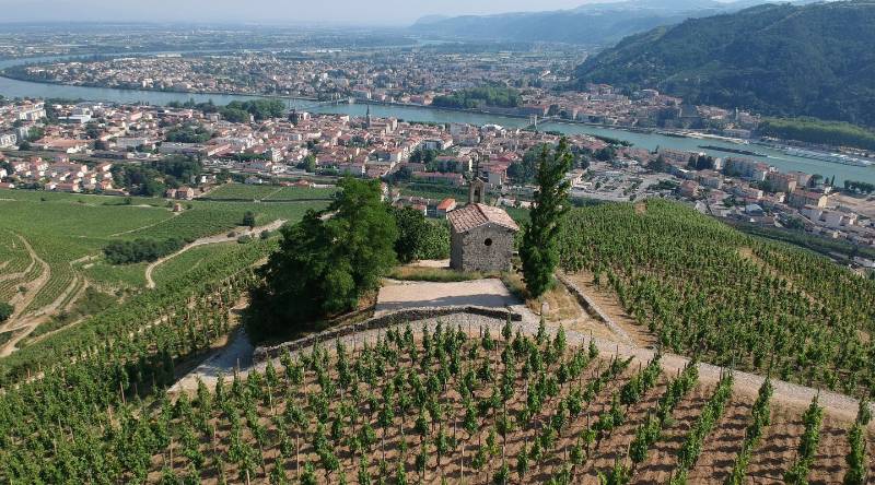 Vue de vignes en Auvergne-Rhône-Alpes