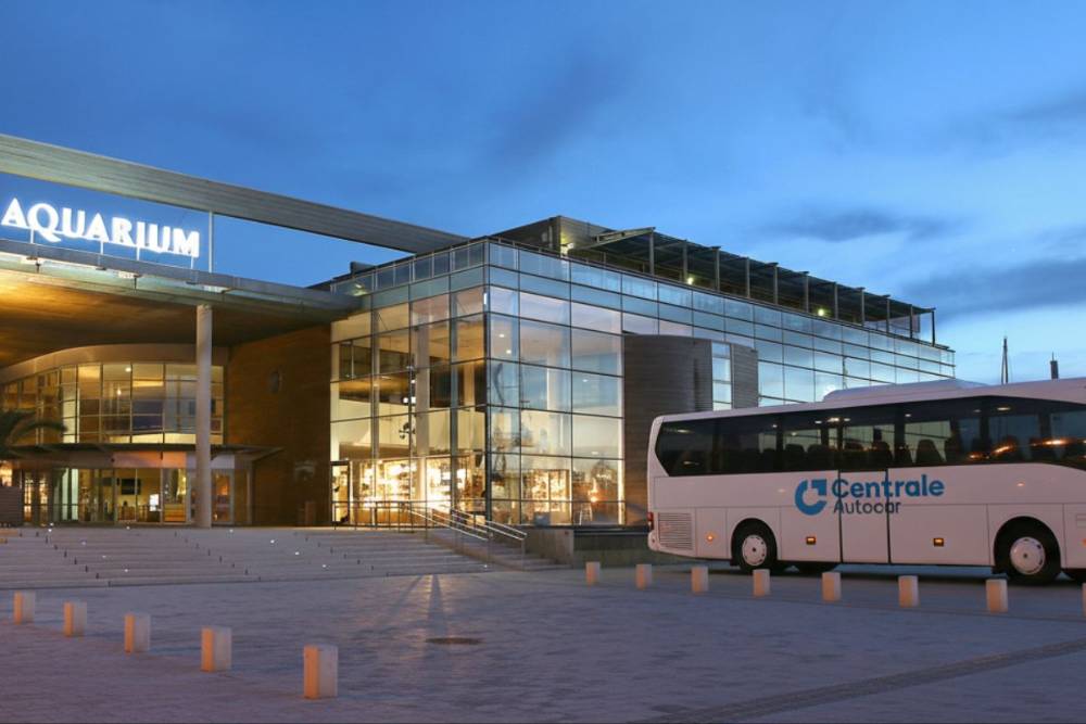 Location de bus et minibus avec chauffeur pour l'Aquarium de la Rochelle