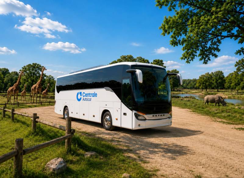 Location de Bus et Minibus avec chauffeur pour Planète Sauvage